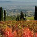 accommodation in Tuscany