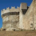 Populonia