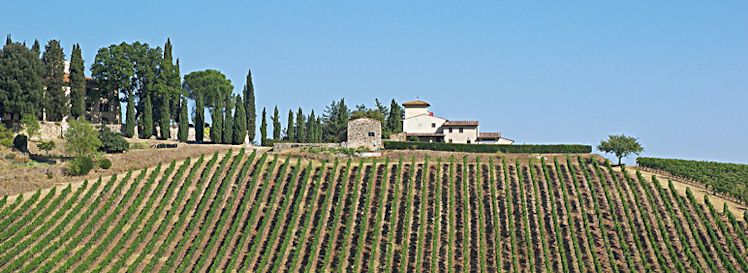 Tuscan Wineries