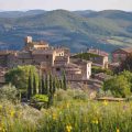 Volpaia Chianti Tuscany