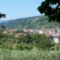 Pescia