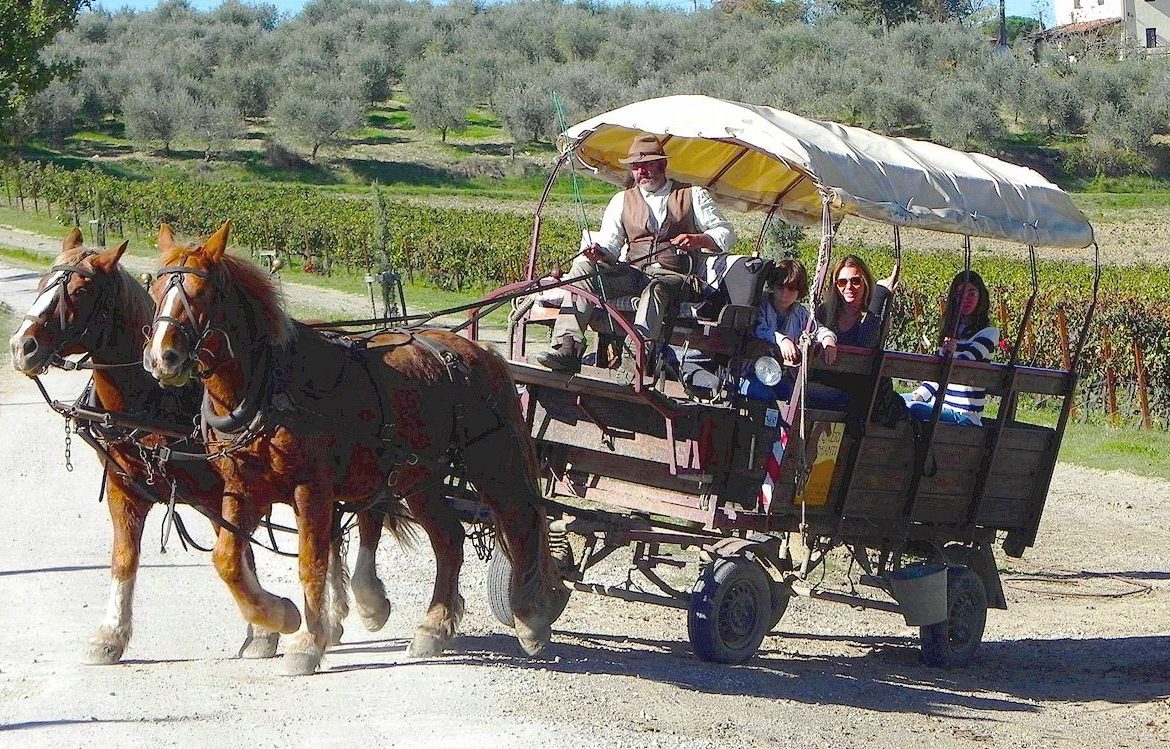 Horse and wagon excursions in Tuscany