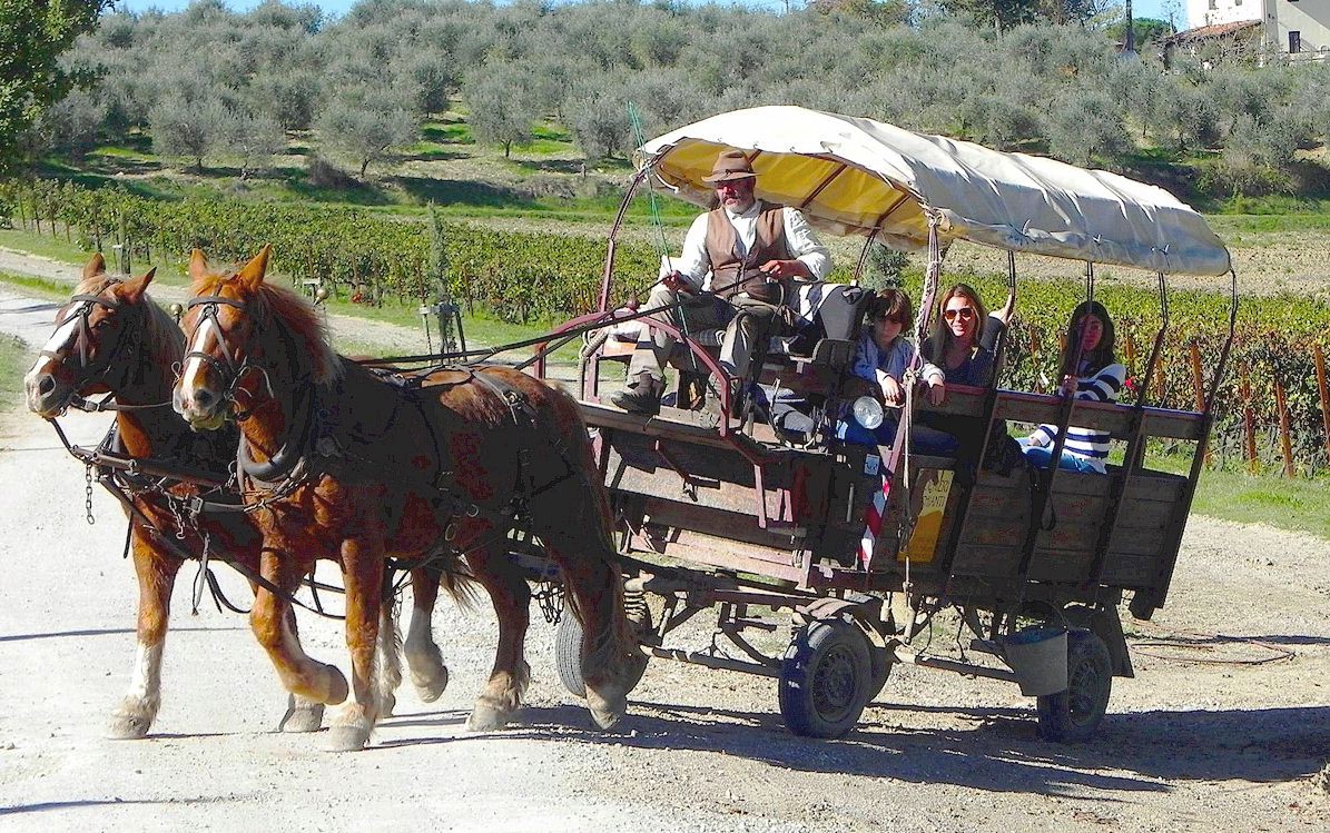 Excursions in Tuscany by horse and wagon