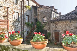 Colognora di Pescaglia cortile